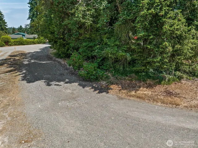 a view of a dirt road with trees in the background