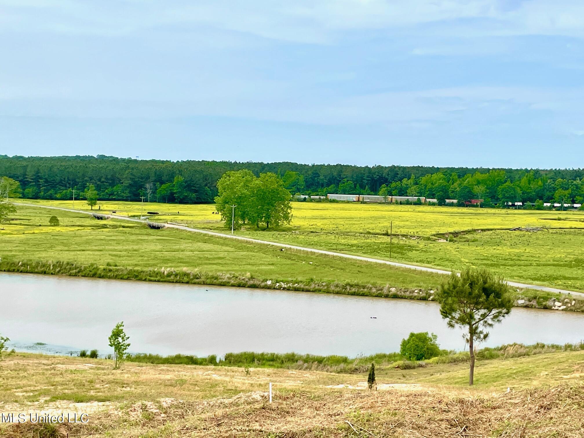1665 Airport Road Newton, MS 39345 - Photo 14 of 60 IMG_5600