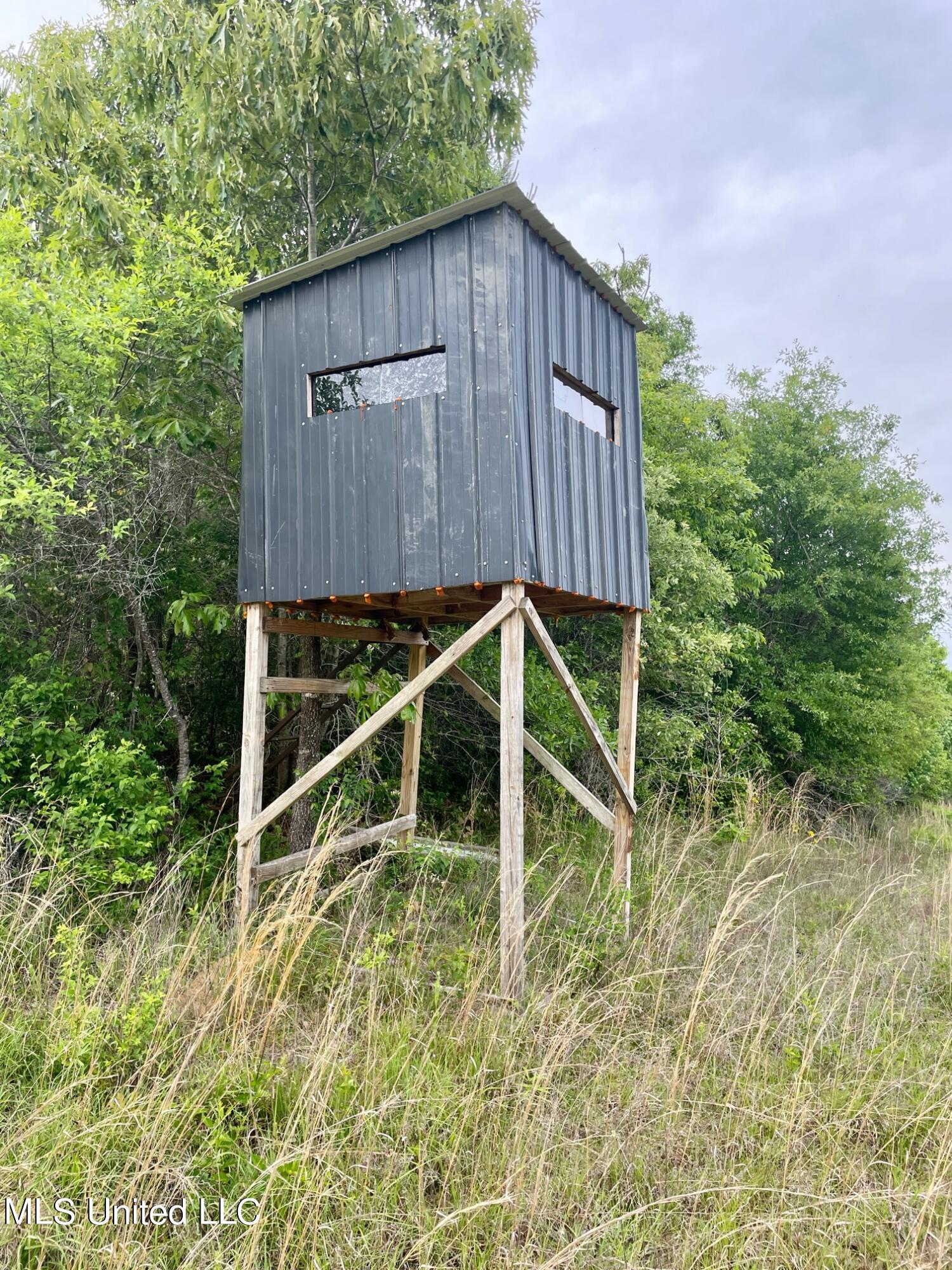 1665 Airport Road Newton, MS 39345 - Photo 58 of 60 IMG_5717
