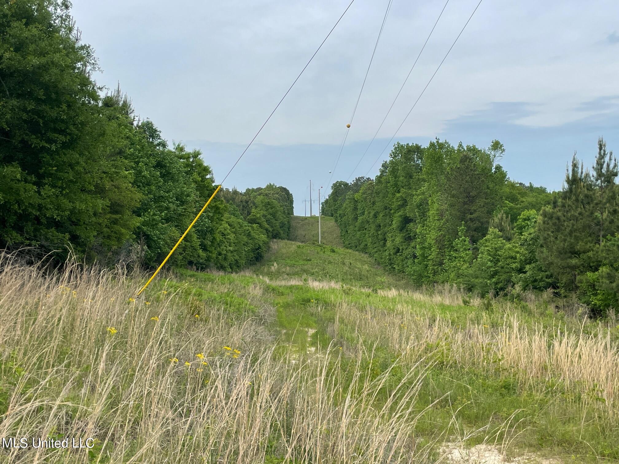 1665 Airport Road Newton, MS 39345 - Photo 60 of 60 IMG_5719