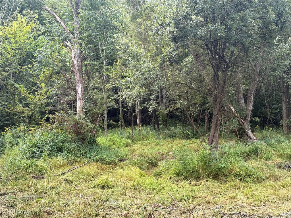 Hartville Road North Atwater, OH 44201 - Photo 5 of 10 View of woods