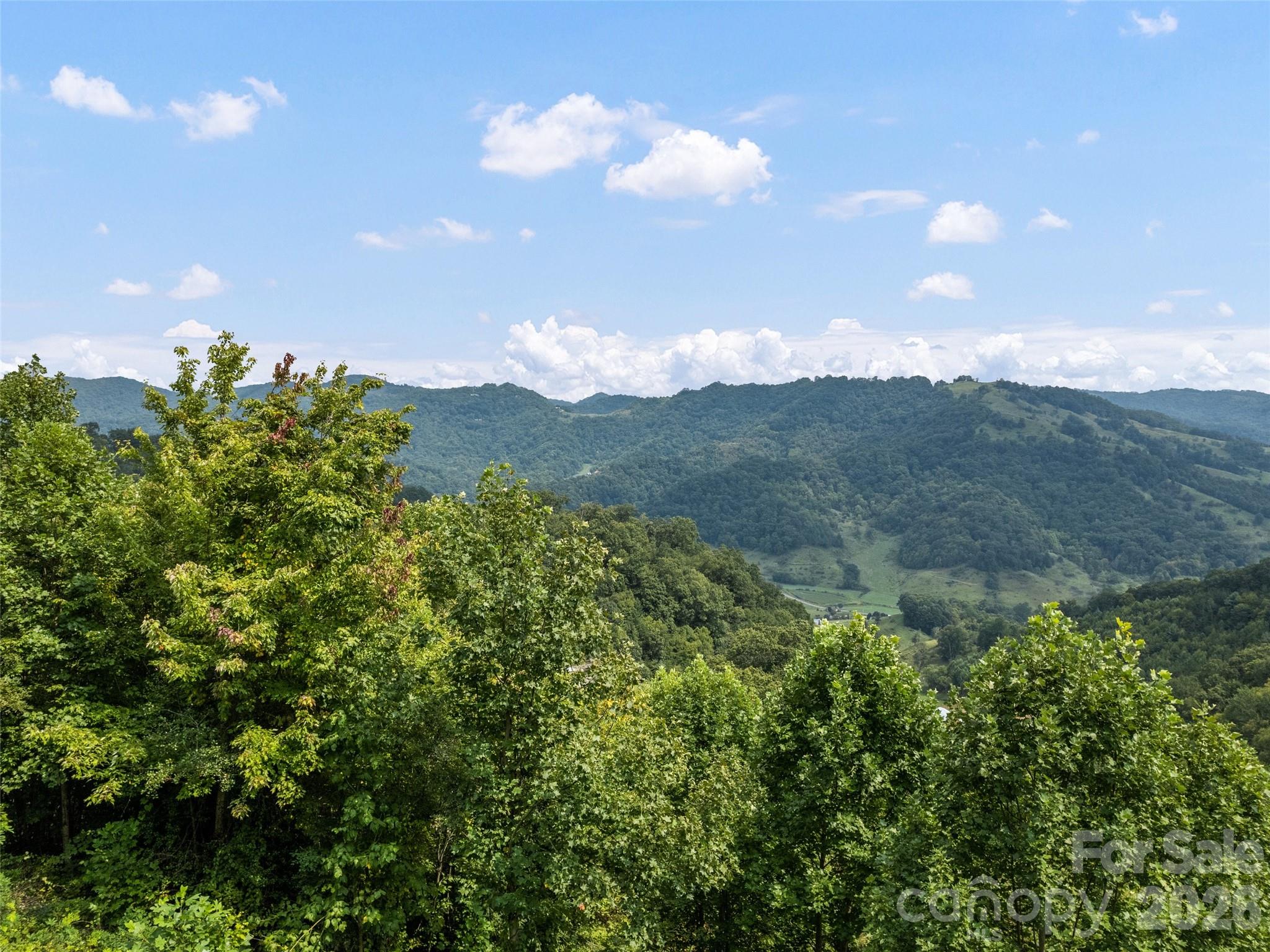 1225 Clark Road Clyde, NC 28721 - Photo 8 of 38