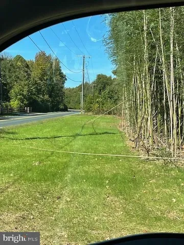 a view of a yard with large trees