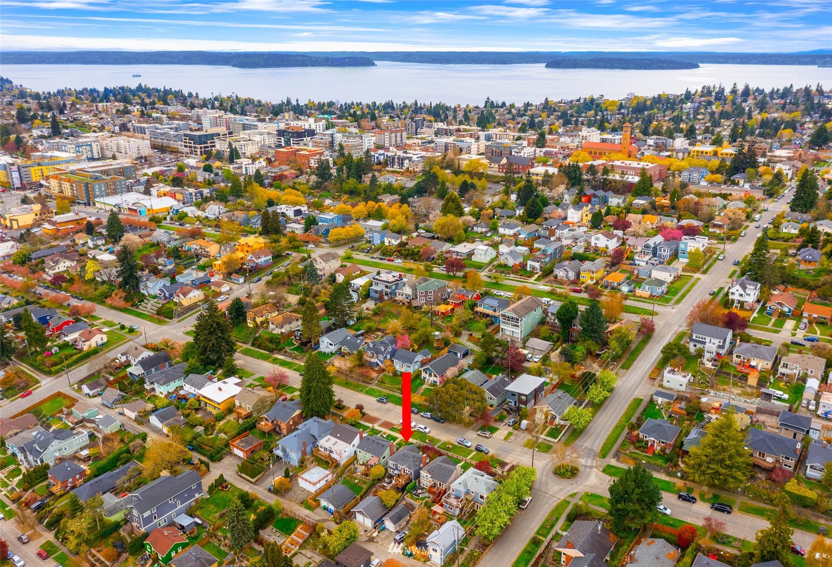 4110 38th Avenue Southwest Seattle, WA 98126 - Photo 29 of 29 a view of a city