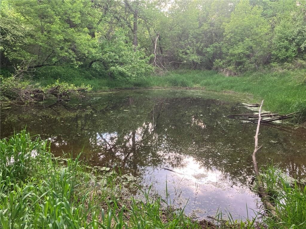 N3953-201 Bear Pen Road Arkansaw, WI 54721 - Photo 23 of 43