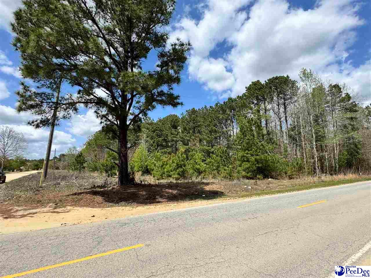 1549 Lester Road Dillon, SC 29536 - Photo 2 of 2 Gallery Image 2