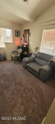 108 East Pastime Road Tucson, AZ 85705 - Photo 17 of 22