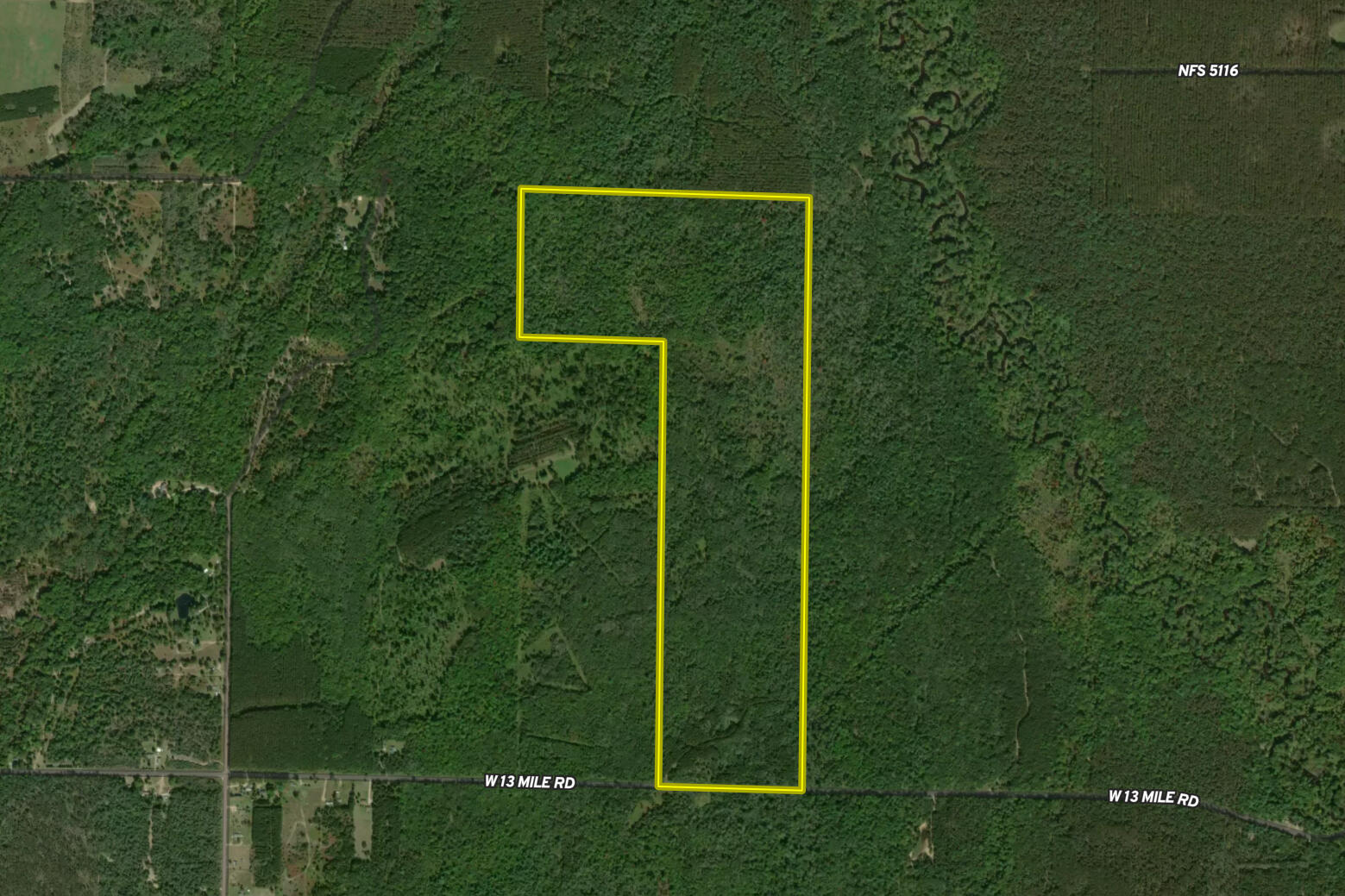 13 West 13 Mile Road, Unit PAR A Bitely, MI 49309 - Photo 14 of 16 Aerial 1