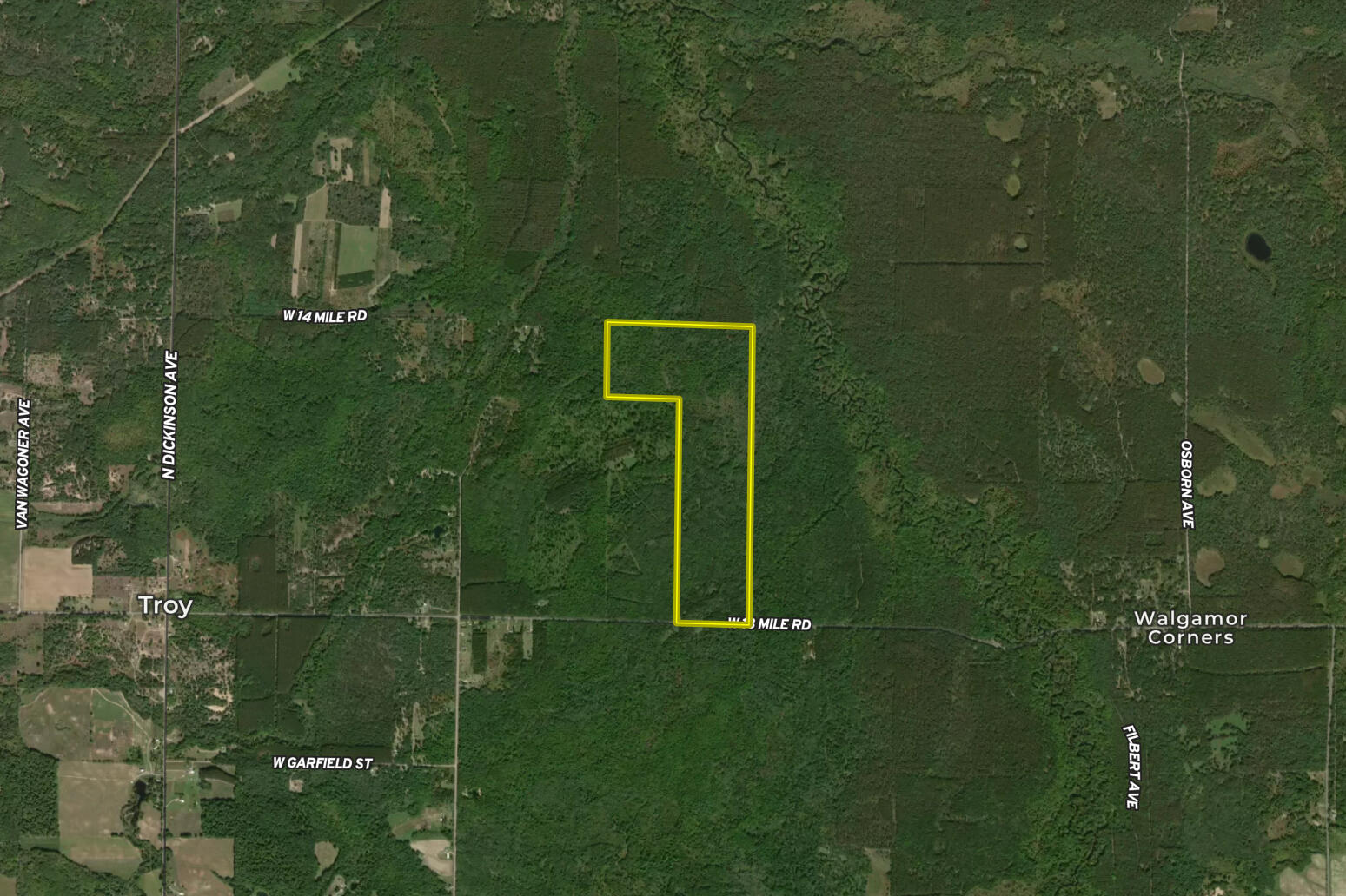 13 West 13 Mile Road, Unit PAR A Bitely, MI 49309 - Photo 15 of 16 Aerial 2