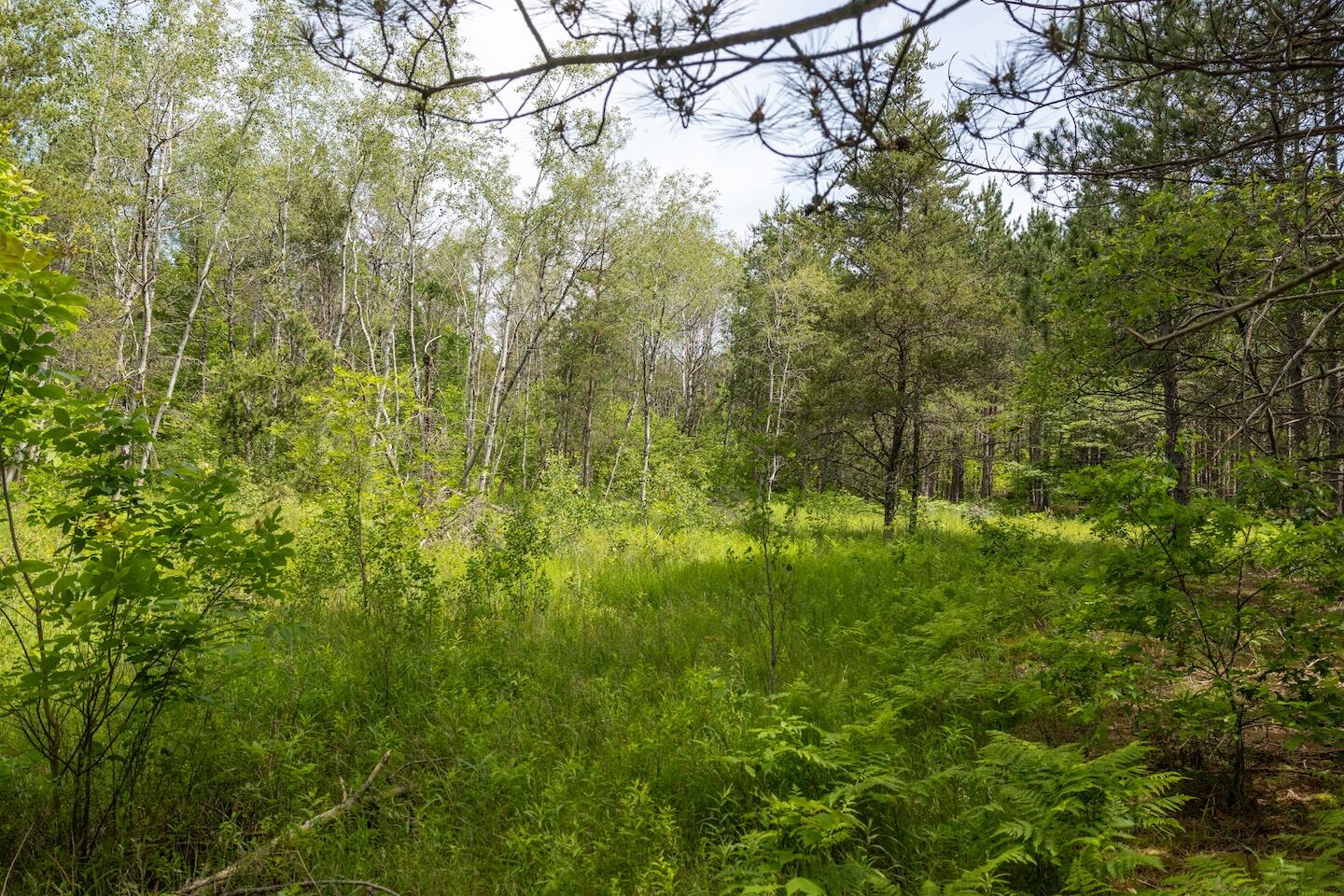 13 West 13 Mile Road, Unit PAR A Bitely, MI 49309 - Photo 4 of 16 4