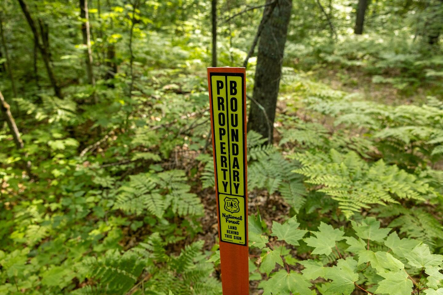 13 West 13 Mile Road, Unit PAR A Bitely, MI 49309 - Photo 6 of 16 6