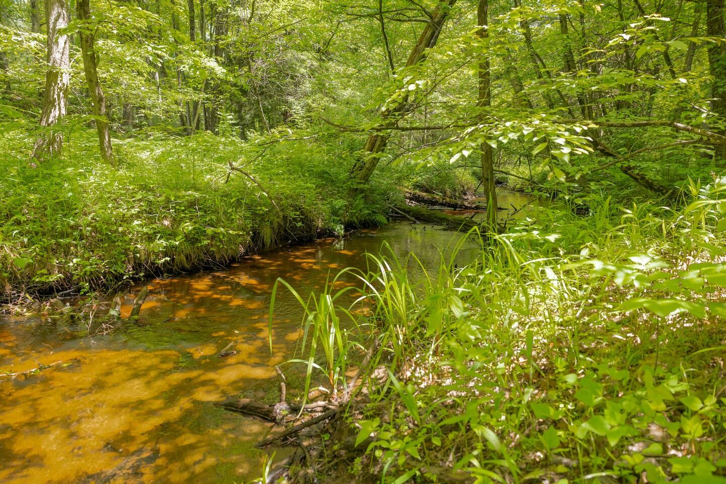 13 West 13 Mile Road, Unit PAR A Bitely, MI 49309 - Photo 8 of 16 8