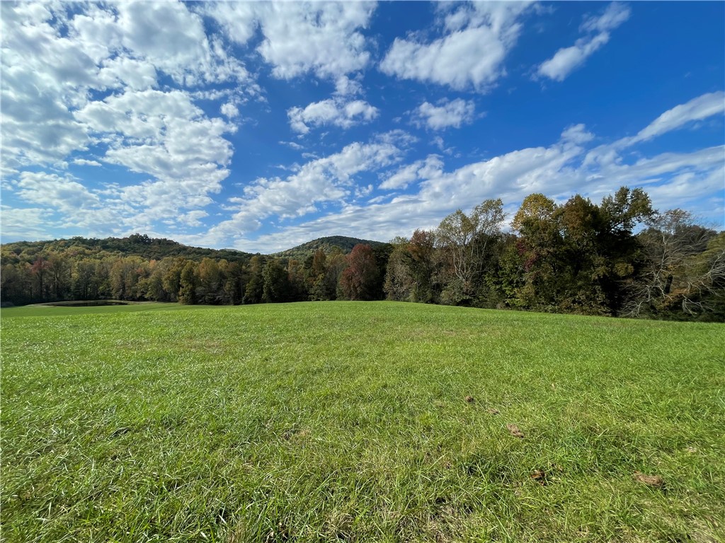 135 Edgewood Way Walhalla, SC 29691 - Photo 9 of 50 Gallery Image 9