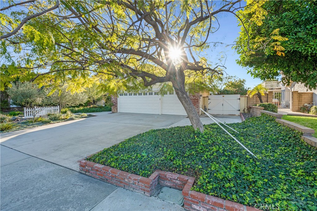 21390 Vía Del Parque Yorba Linda, CA 92887 - Photo 3 of 42 a view of a yard with plants and a large tree
