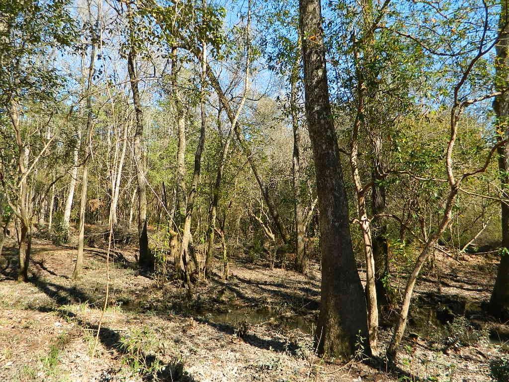 14250 Graci Road Folsom, LA 70437 - Photo 23 of 33 Gallery Image 23