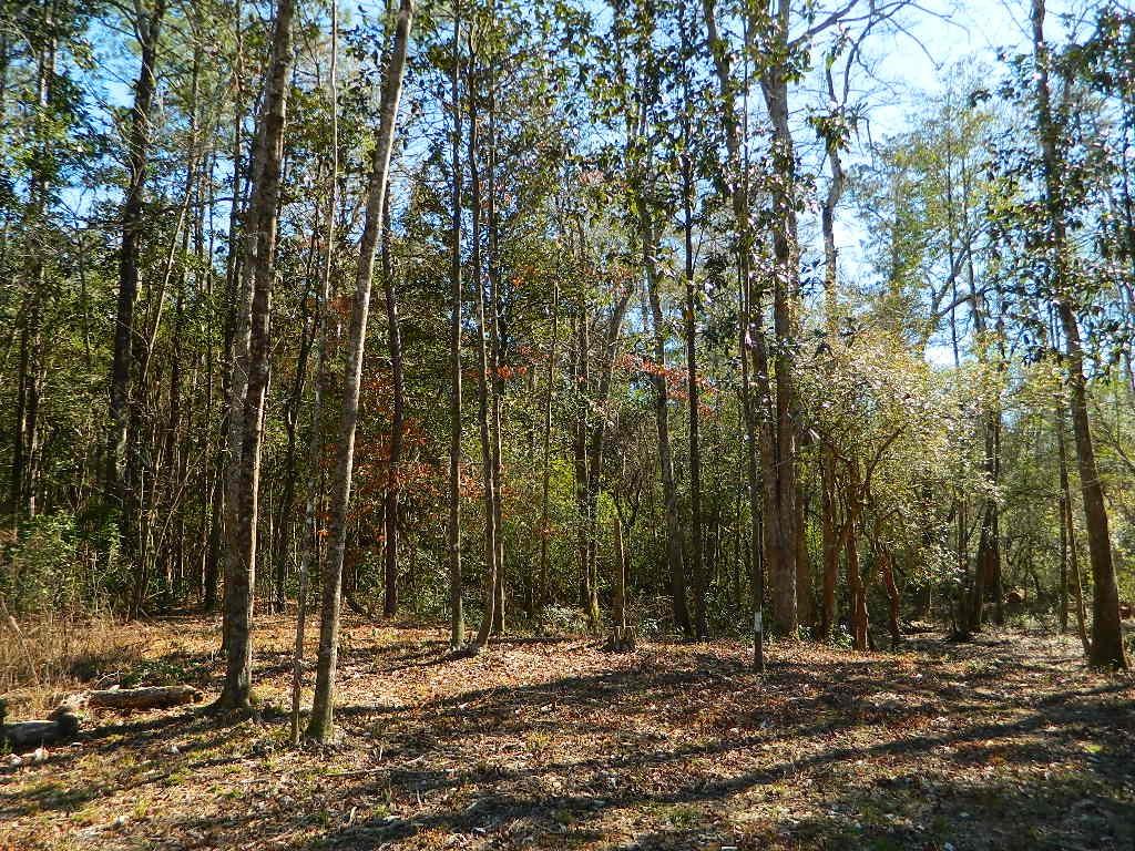 14250 Graci Road Folsom, LA 70437 - Photo 28 of 33 Gallery Image 28