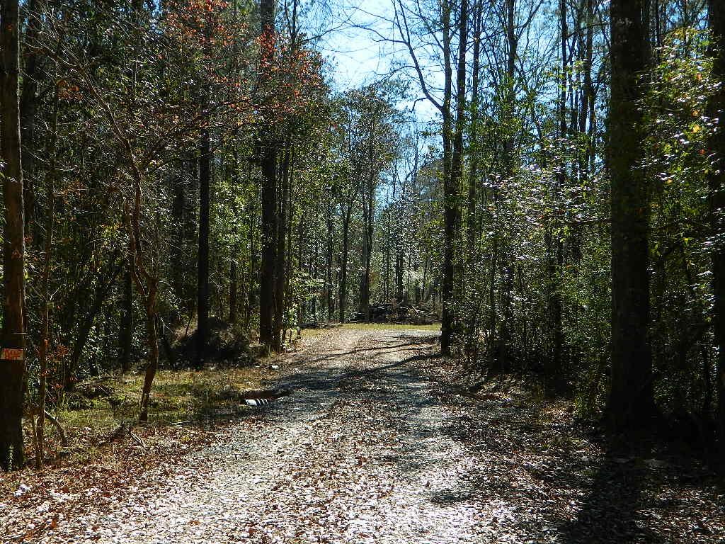 14250 Graci Road Folsom, LA 70437 - Photo 29 of 33 Gallery Image 29