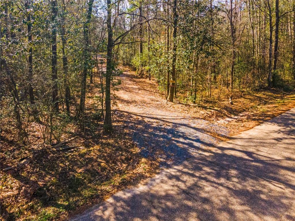 14250 Graci Road Folsom, LA 70437 - Photo 3 of 33 Gallery Image 3