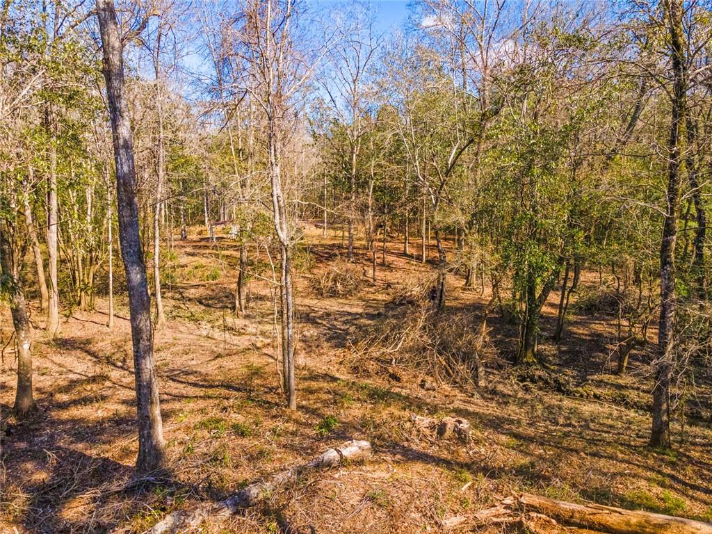 14250 Graci Road Folsom, LA 70437 - Photo 9 of 33 Gallery Image 9