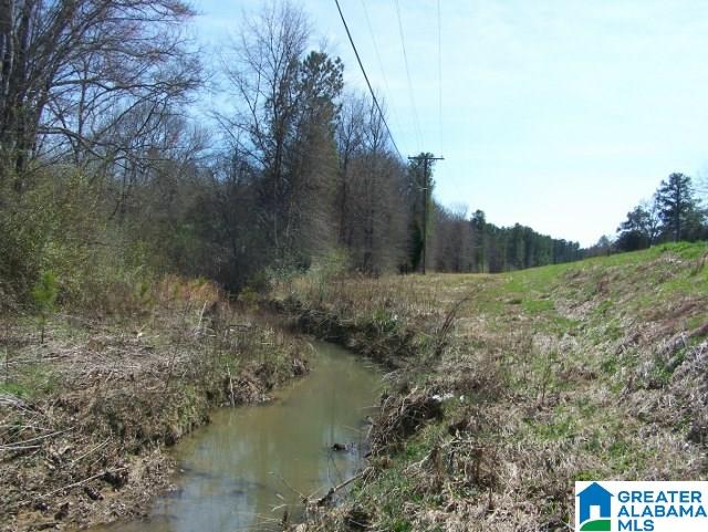 0 Mitchellville Road, Unit ACREAGE Lincoln, AL 35096 - Photo 18 of 19