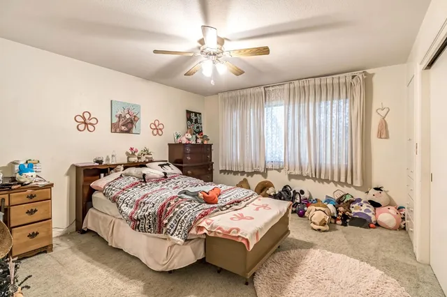 a spacious bedroom with a bed and a couch