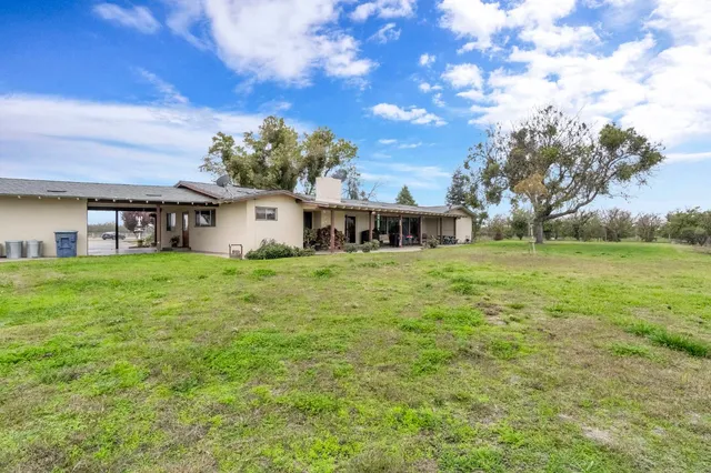 a view of a forest with a forest