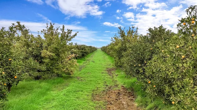 $1,400,000 | 22179 Ave 21, Madera, CA 93638