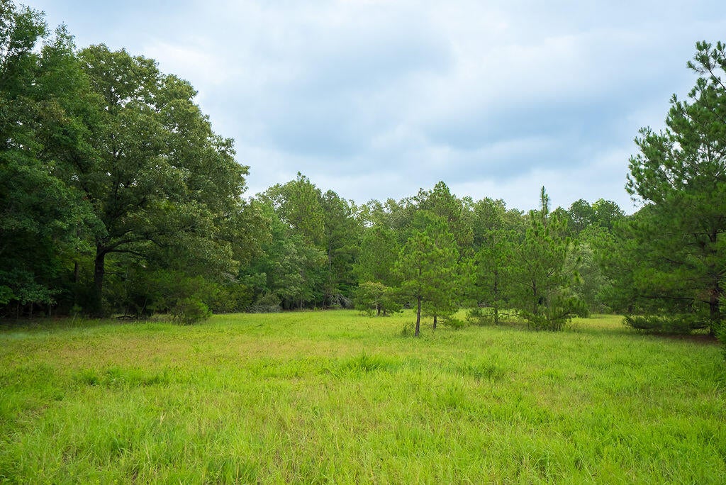 1480-1482 Wire Road Aiken, SC 29805 - Photo 93 of 102 Gallery Image 93