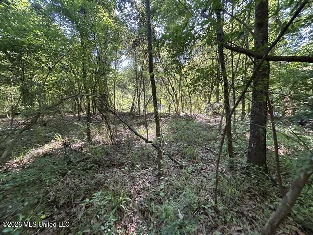 Parker Road Crosby, MS 39633 - Photo 10 of 16 IMG_4217