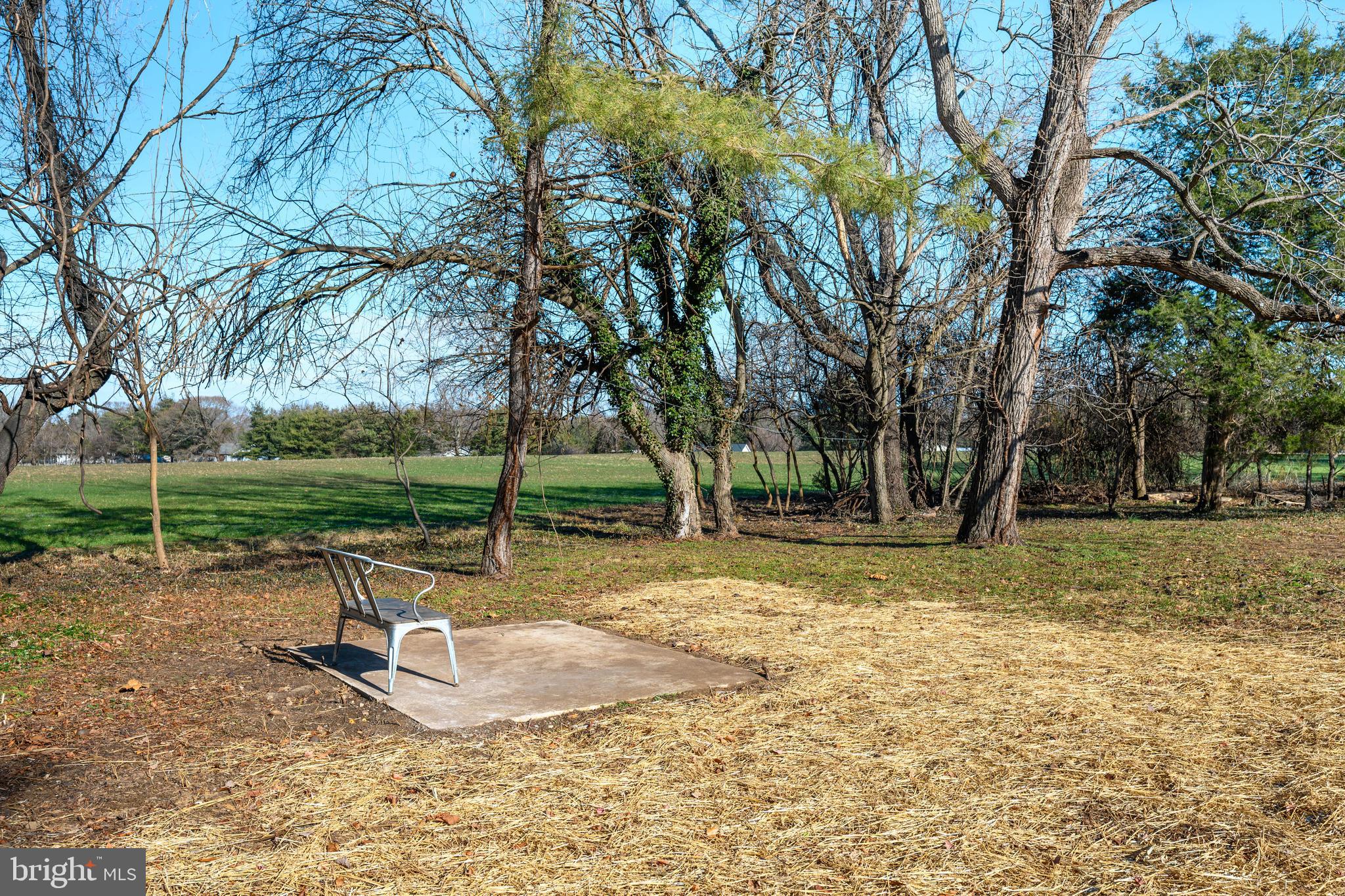 104 Iris Road Chestertown, MD 21620 - Photo 8 of 36 Concrete pad for dog pen or grill!