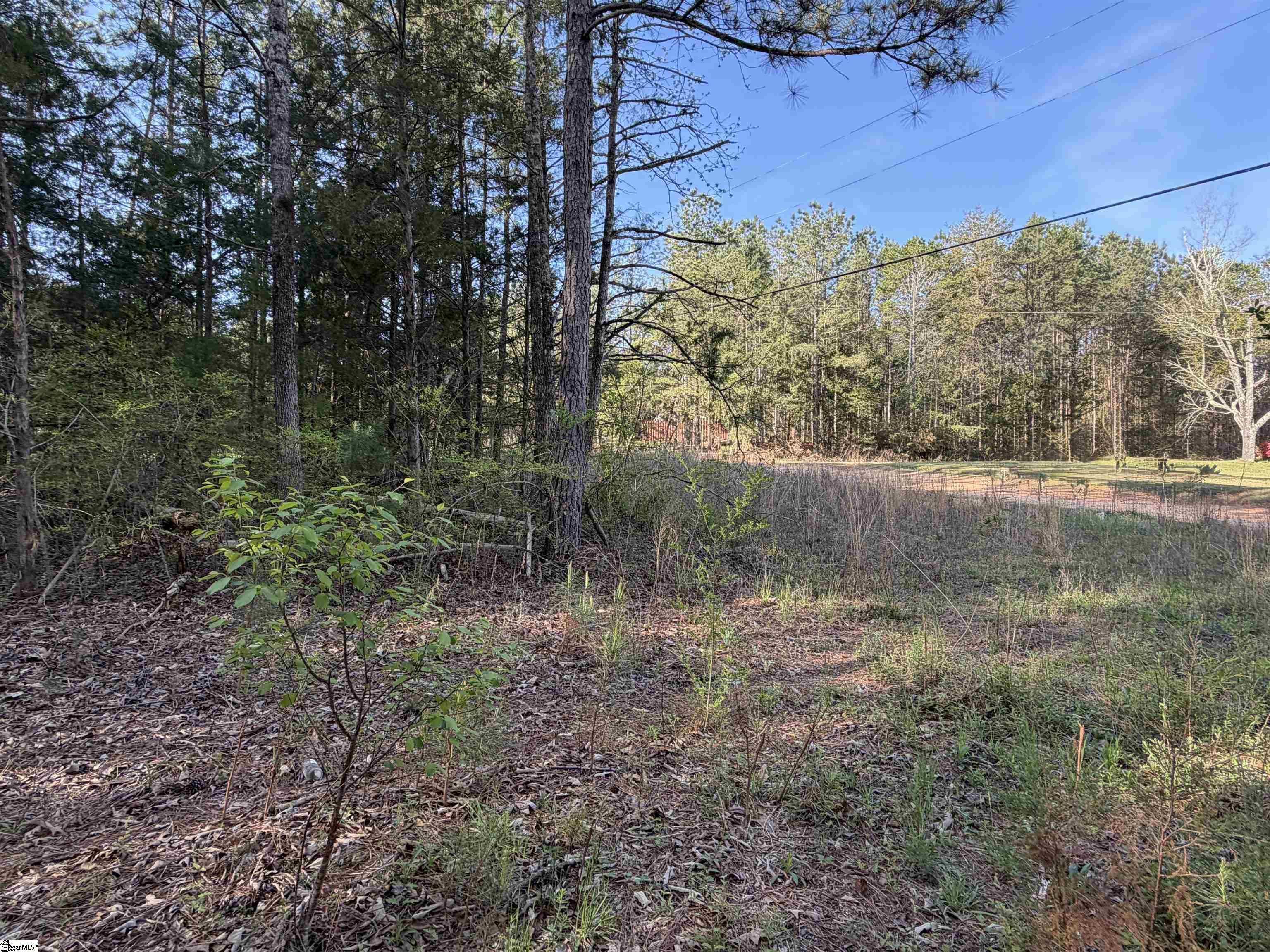 296 Cheeks Circle Gray Court, SC 29645 - Photo 8 of 11 Gallery Image 8