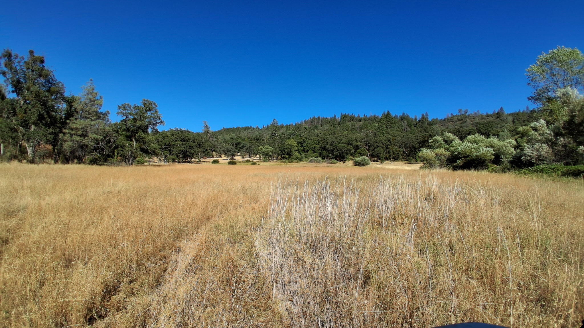 739-acres Shingletown Ridge Road Shingletown, CA 96088 - Photo 1 of 19 Meadow