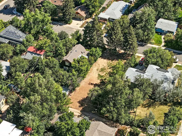a view of a garden with flowers