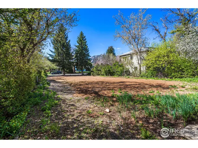 a view of a yard with a tree