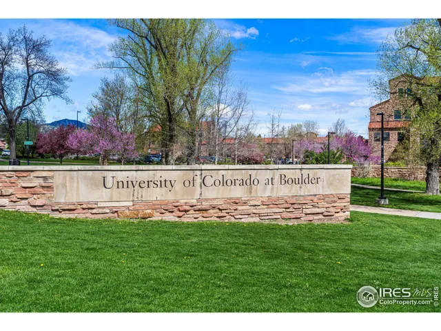 a garden with lots of trees