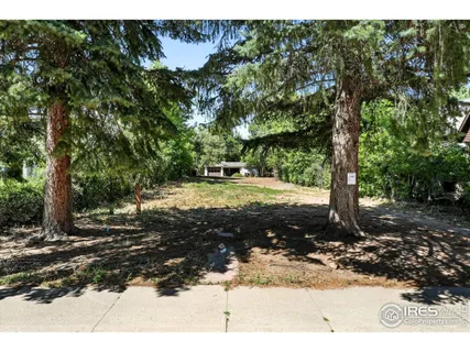 a view of a yard with trees