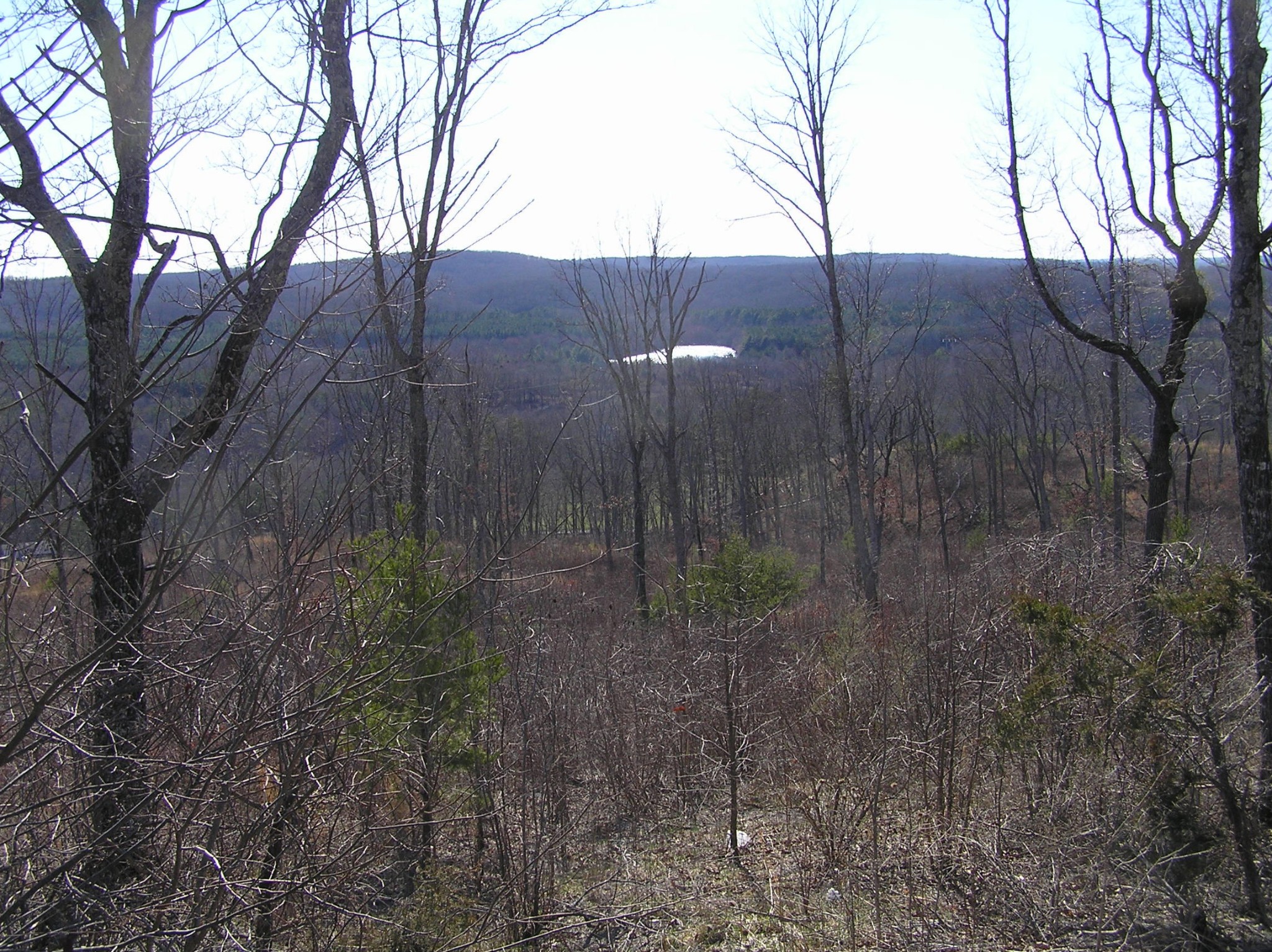 0 Big Spring Gap Road Crossville, TN 38572 - Photo 14 of 48 Gallery Image 14
