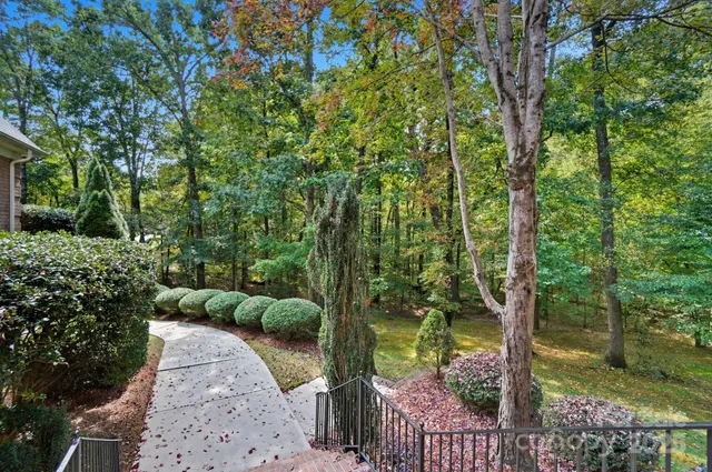 a view of a garden with plants