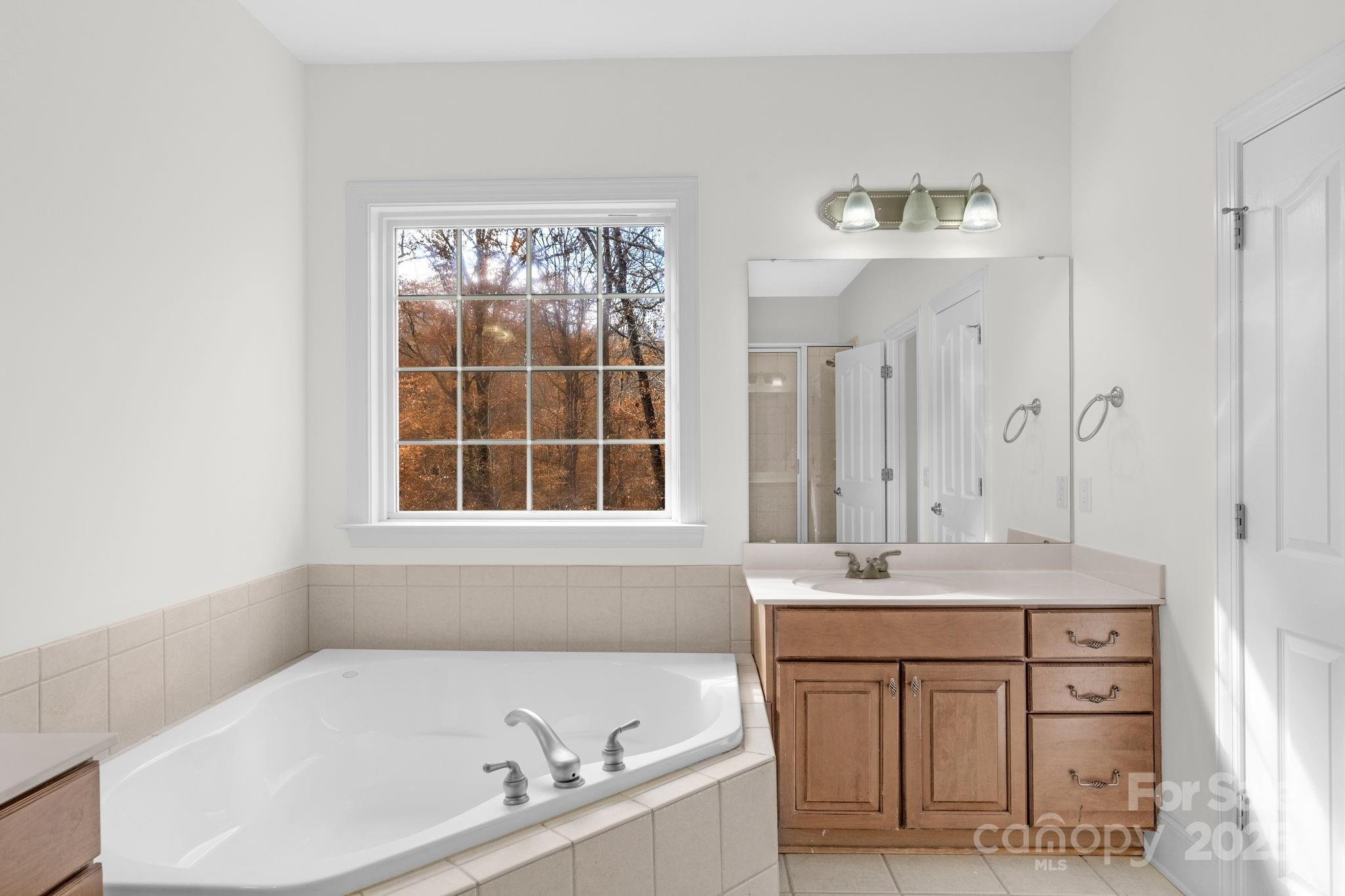 1300 Longleaf Court Weddington, NC 28104 - Photo 34 of 48 a bathroom with a tub sink and mirror