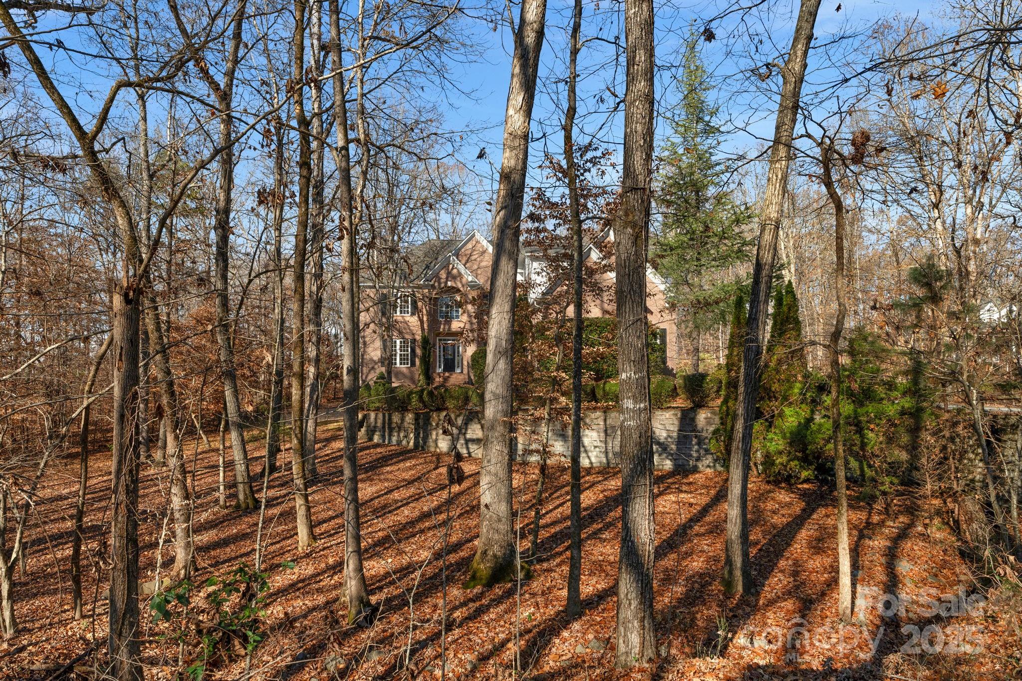 1300 Longleaf Court Weddington, NC 28104 - Photo 39 of 48 a backyard of a house with lots of trees