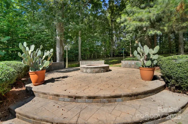 a view of a garden with an outdoor space