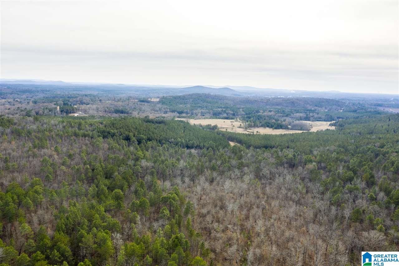 0 Constellation Avenue, Unit 1 Alpine, AL 35014 - Photo 29 of 34