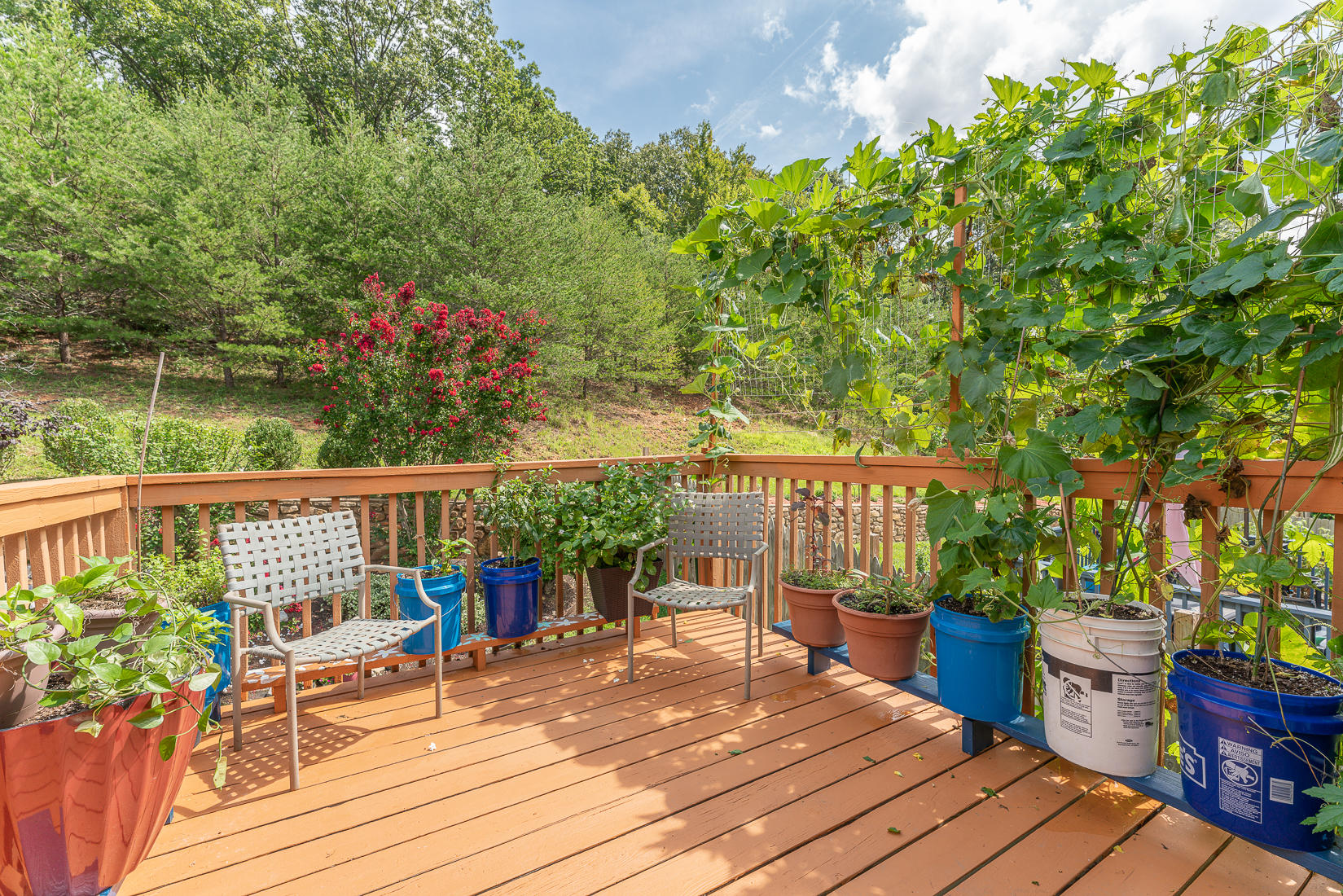 4245 Daugherty Road Salem, VA 24153 - Photo 41 of 44 a view of a balcony with wooden floor and outdoor seating