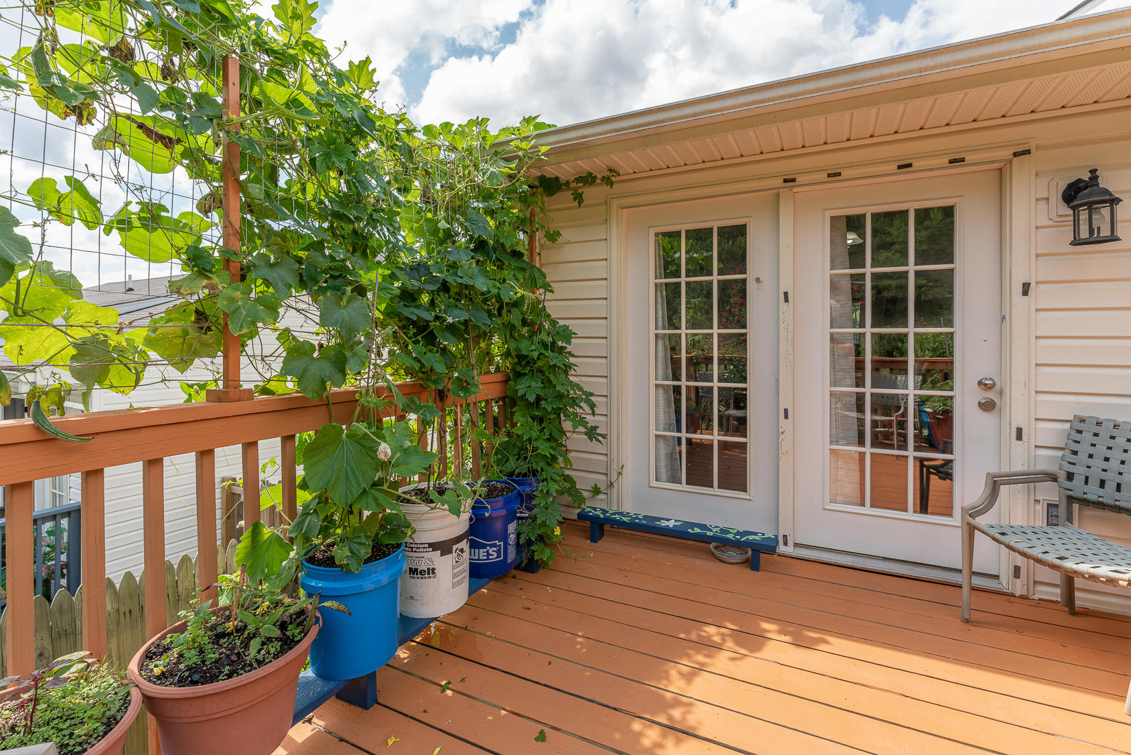4245 Daugherty Road Salem, VA 24153 - Photo 43 of 44 a view of a house with potted plants and a bench
