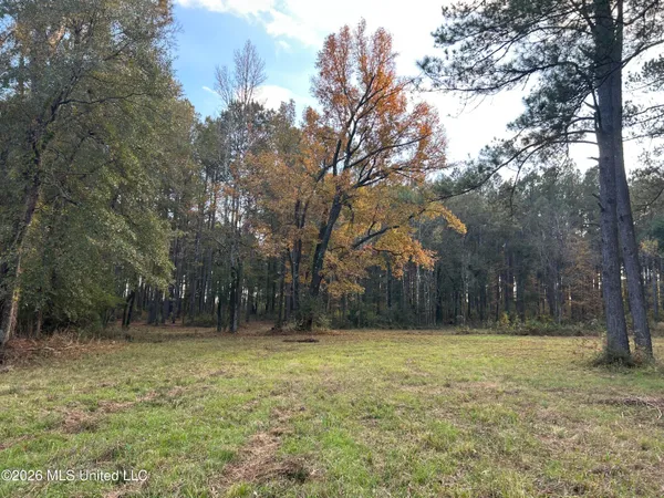 $235,000 | 4024 Old Mill Road, Osyka, MS 39657