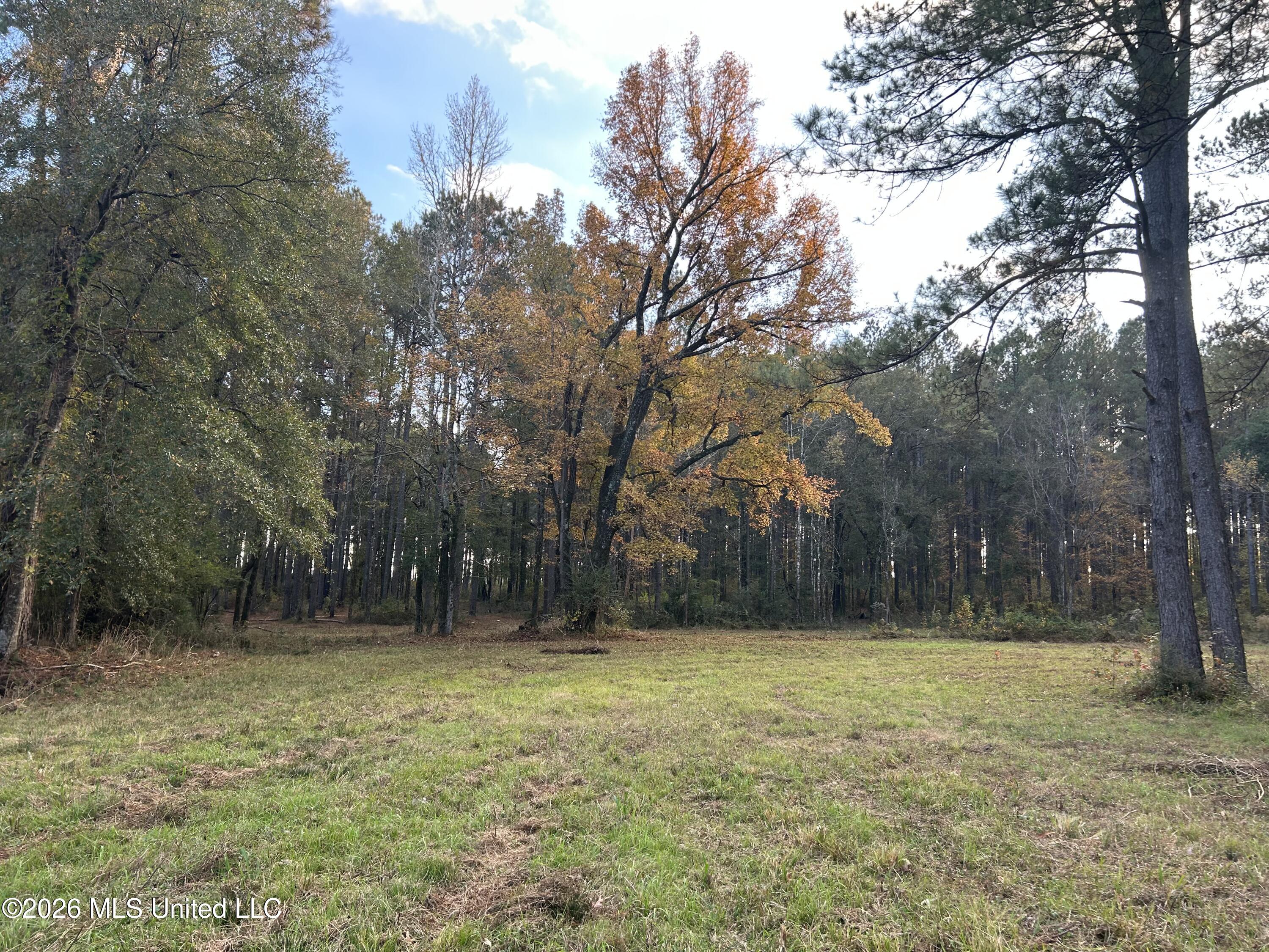 4024 Old Mill Road Osyka, MS 39657 - Photo 1 of 44 IMG_1077