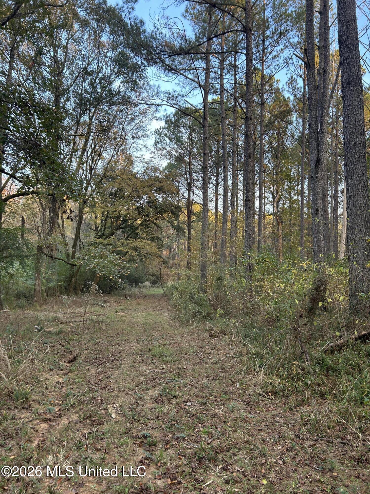 4024 Old Mill Road Osyka, MS 39657 - Photo 17 of 44 IMG_1055