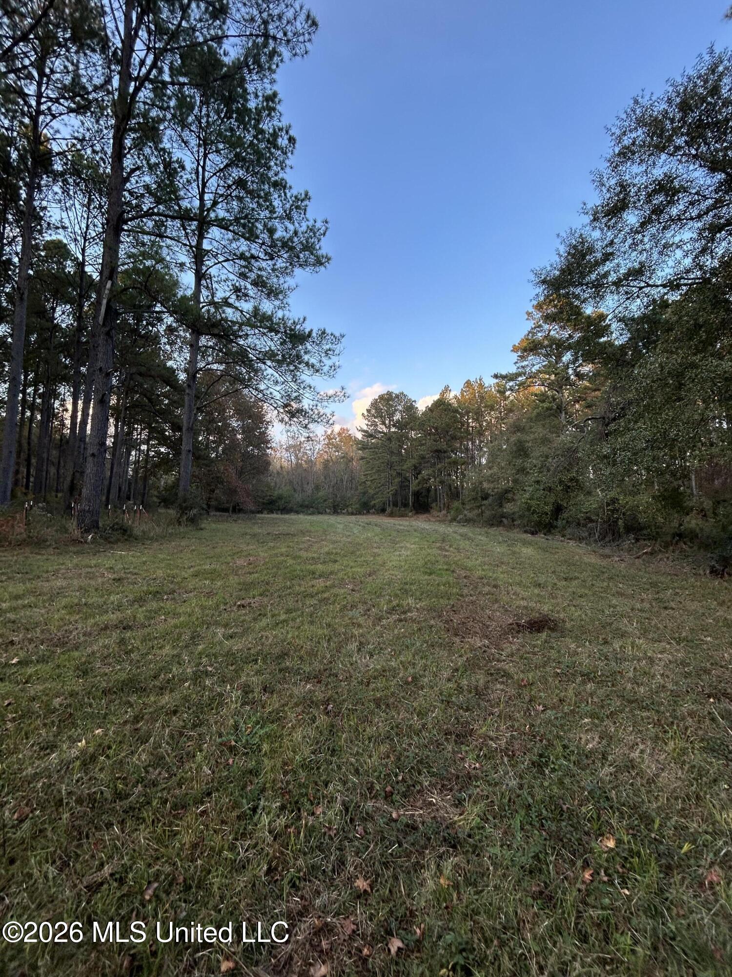 4024 Old Mill Road Osyka, MS 39657 - Photo 2 of 44 IMG_1151