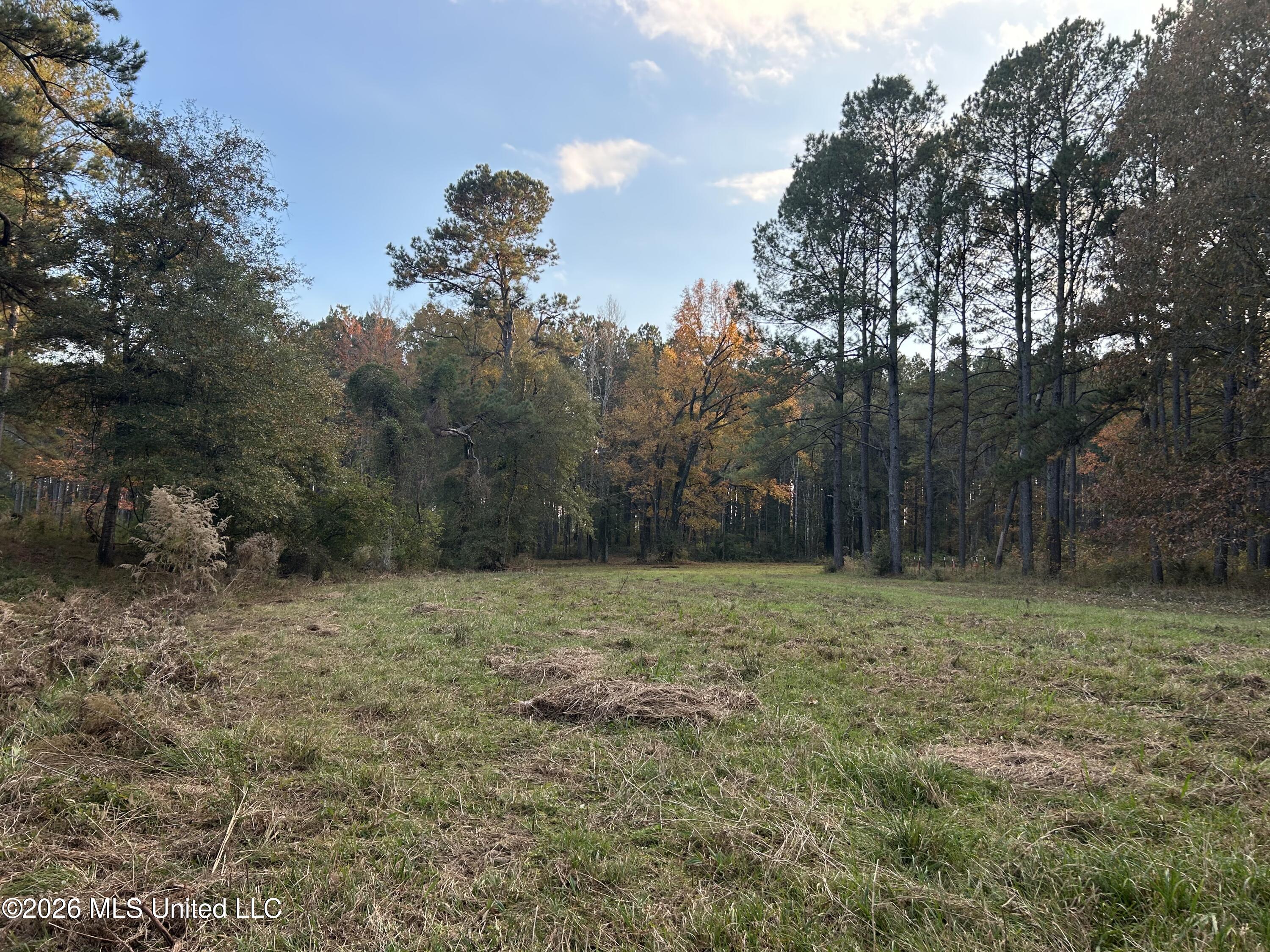 4024 Old Mill Road Osyka, MS 39657 - Photo 23 of 44 IMG_1072