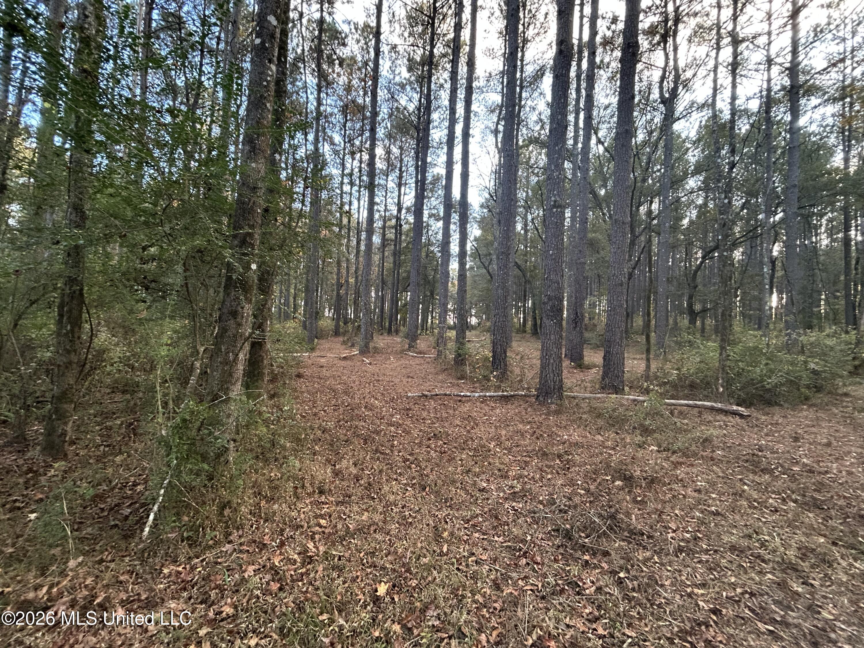 4024 Old Mill Road Osyka, MS 39657 - Photo 25 of 44 IMG_1083